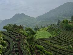 -杨家堂村