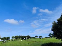 -红花山公园