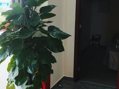 -张钰强中医正骨推拿连锁(唐家人才公寓店)