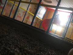-纽斯洗浴SPA(三墩店)