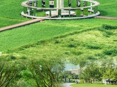-风云岭森林公园