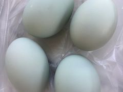 -蟹天蟹地农家菜·阳澄湖大闸蟹(浅水湾店)