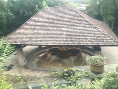 -天目湖涵田半山温泉