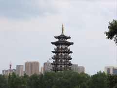 -洋湖国家湿地公园