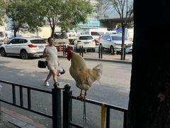 -桃源市场(解放路店)