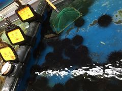 -万宝海鲜舫(劳动公园店)
