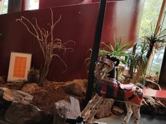 -老李家土菜馆·安吉地标美食