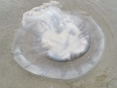 -南澳海滩