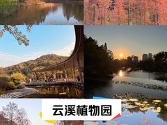 -云溪植物园