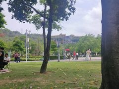 -顺峰山公园