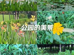 -咸阳湖景区