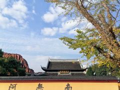 -上海东林寺(金山区)