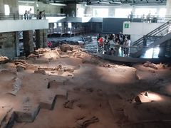 -自贡恐龙博物馆