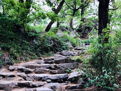 -阳台山自然风景区