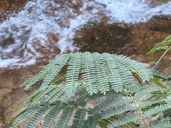 -东天目山风景区