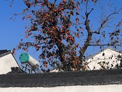 -北寺塔