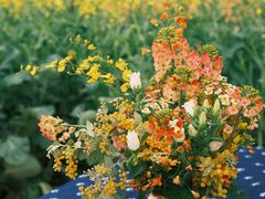 -中国天府农业博览园