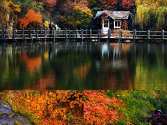 -九如山休闲旅游度假区