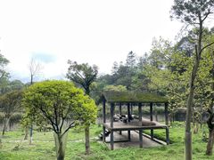 -碧峰峡风景区