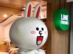 -line friends(明洞旗舰店)