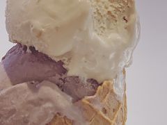 比利时风味榛仁-Glacio Dessert Chef