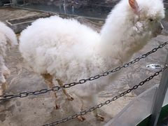 -上海昆虫博物馆