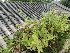 -火火咖啡&茶空间