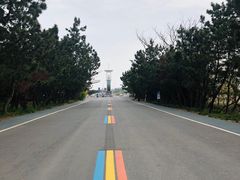 -日照海滨国家森林公园