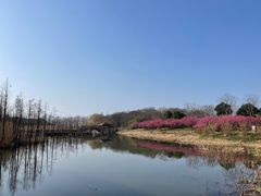 -同里国家湿地公园