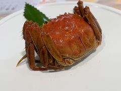 江南醉六月黄蟹-苏小柳点心·手作小笼包(新街口分院店)
