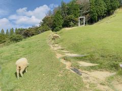 -神户市立六甲山牧场