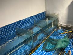 水产区-小溪桥三号院子(华庄店)
