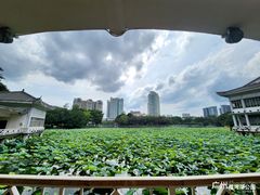 -荔湾湖公园