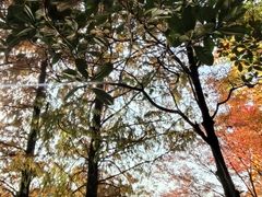 -狼山风景名胜区