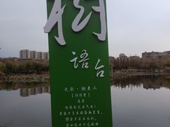 -前关湿地公园