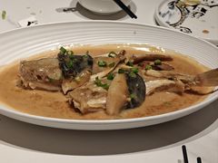 -渔人码头(中南店)