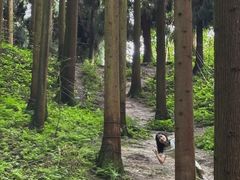 -海窝子古镇