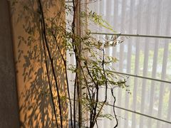 -元古雲境(太古里店)