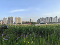 -江心屿景区