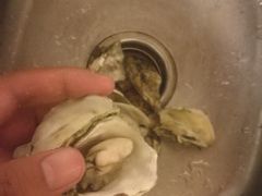-海食焗(新光天地店)