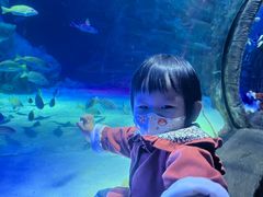 -沈阳海洋探索中心