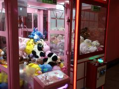 -pink baby·新晋网红打卡地