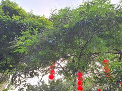 -广州雕塑公园