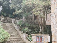-紫金山天文台