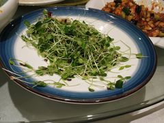 -紫光园(顺义店)