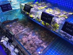 -渔民船说·北塘海鲜·天津菜·海肠捞饭(北塘古镇店)