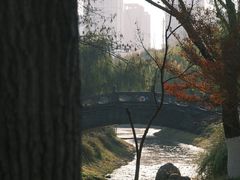 -堤角公园