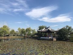 -无锡蠡湖国家湿地公园-蠡园