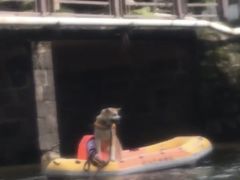 -安吉龙王山峡谷漂流