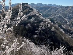 -龙泉峪长城